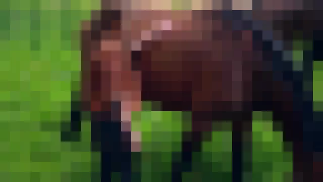 Grace - Hot 18yo teen 18+